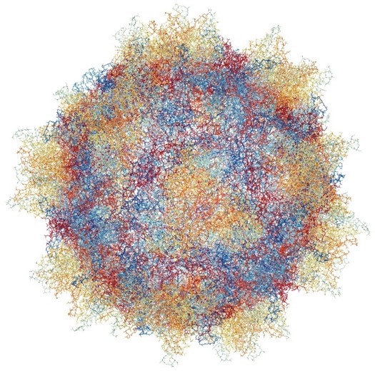 AAV9, RCSB protein data bank NGL viewer, PBD ID: 3UX1